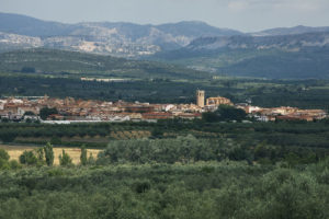 varona la vella finca