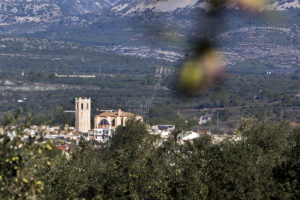 finca varona la vella